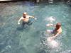 poolbears