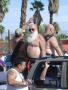 dsc07618