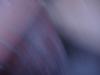 dscf6553