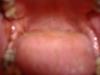 dscf7615