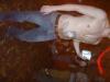 dscf0739