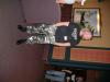 dscf0777