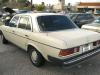 fiesta_051