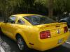 fiesta_076