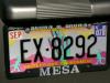 fiesta_087
