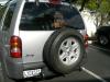 fiesta_088