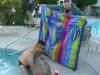 fiesta_080