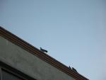 img_0685