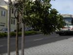 dscn0370