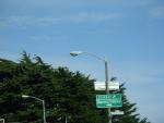 dscn0377