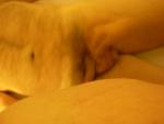 dscn0811