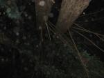 dscn8446