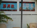DSCN3123