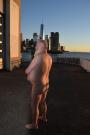 dsc_0146