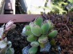 dscf0932