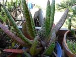 dscf0935