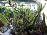 dscf0936