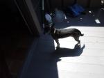 dscf0938