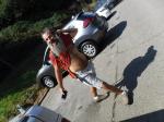 dscf0946