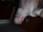 dscf1012