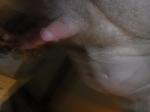 dscf1059