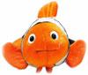 clownfish